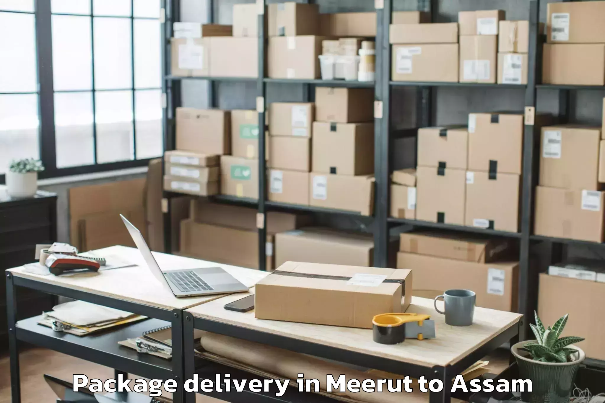 Meerut to Hajo Package Delivery